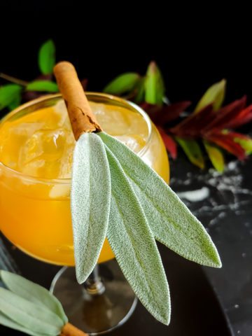 Core Values: Apple Bourbon Cocktail with sage leaf and cinnamon stick garnish