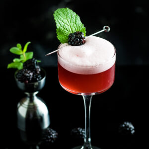 blackberry sour with foam and blackberry garnish in a coupe glass
