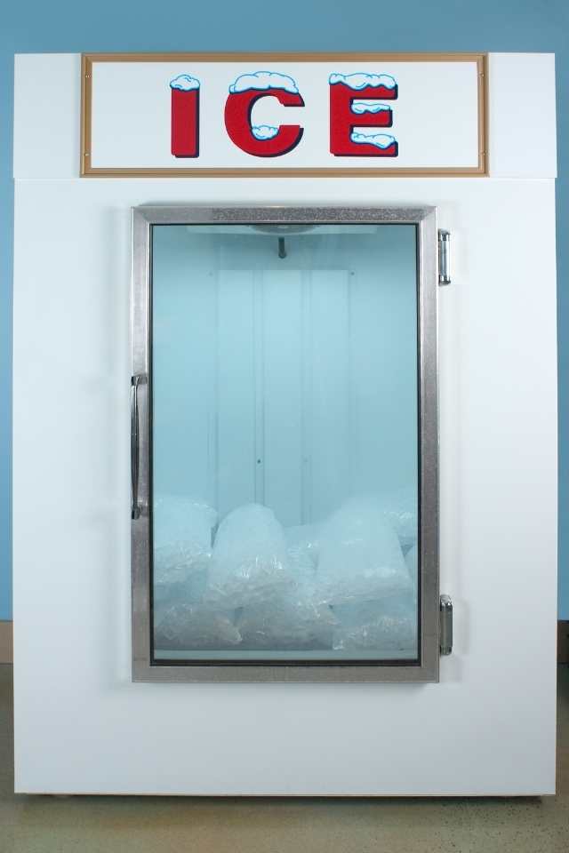 large ice freezer at a store