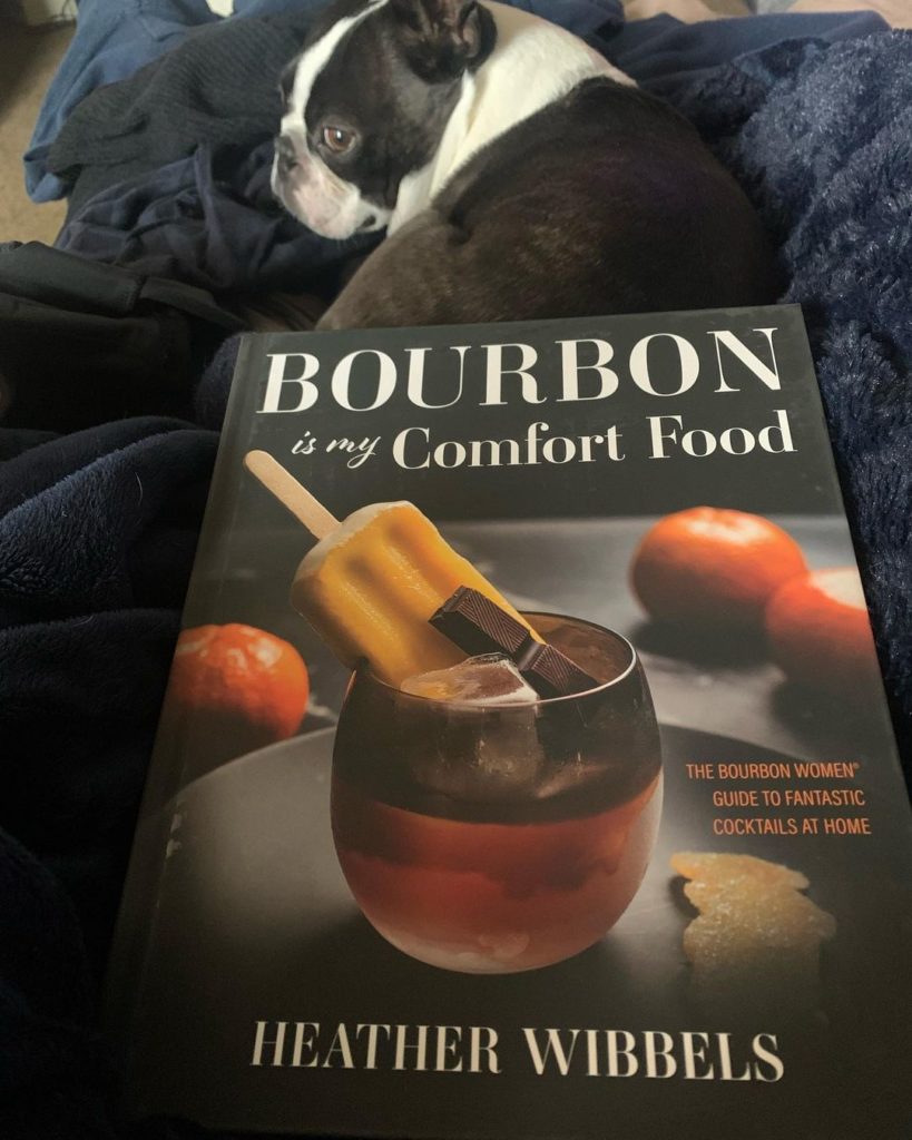 bourbon is my comfort food with french bulldog
